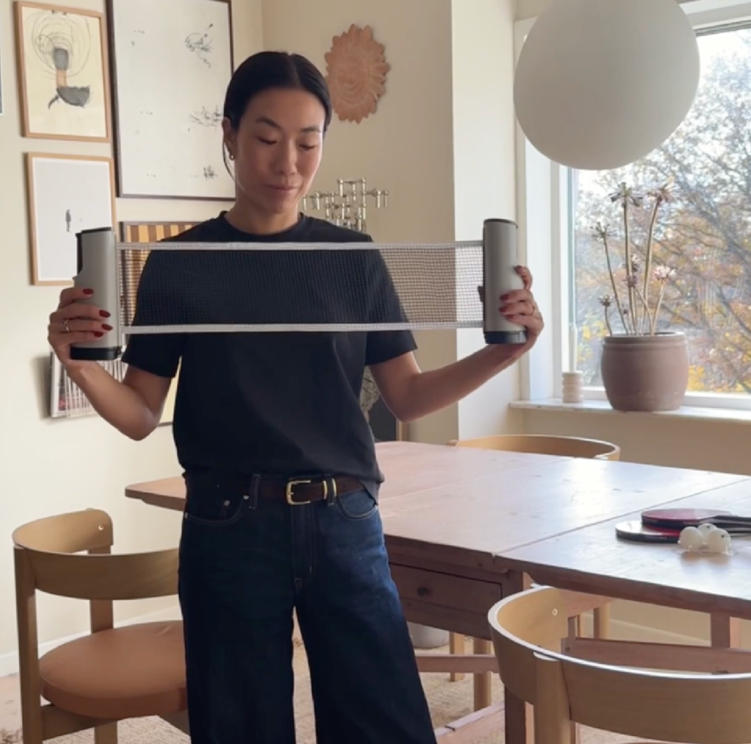 PingPortable™ – Pöytätennissetti